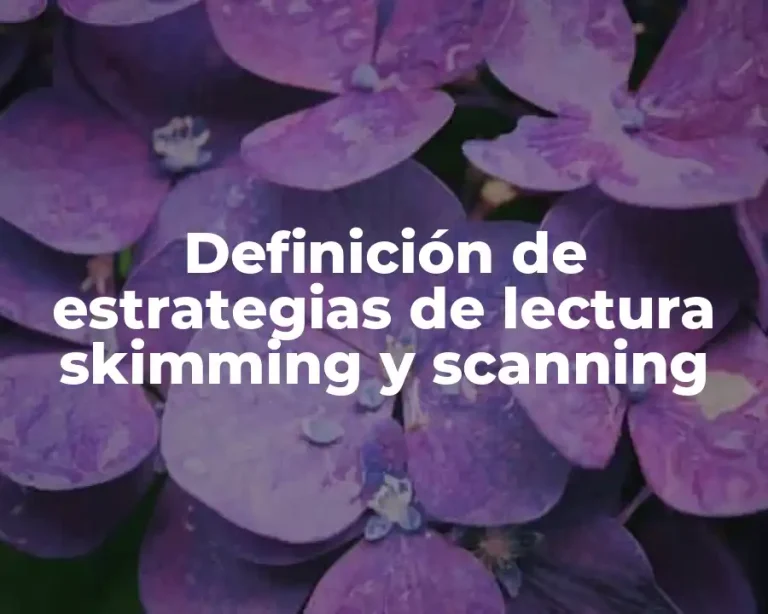 Definición de estrategias de lectura skimming y scanning