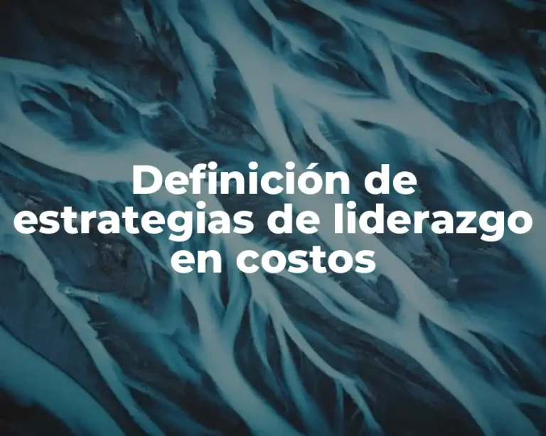 Definición de estrategias de liderazgo en costos