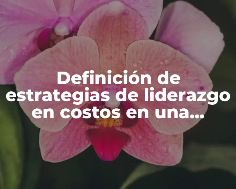 Definición de estrategias de liderazgo en costos en una empresa