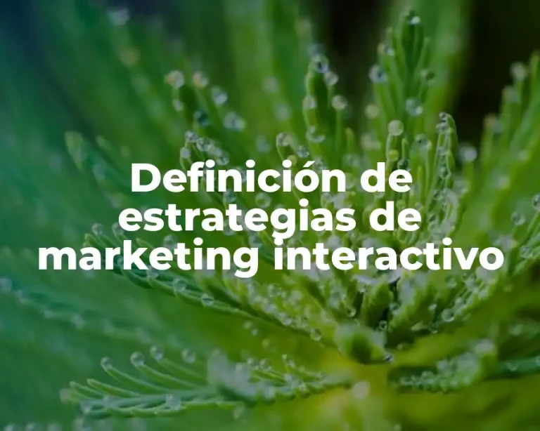 Definición de estrategias de marketing interactivo