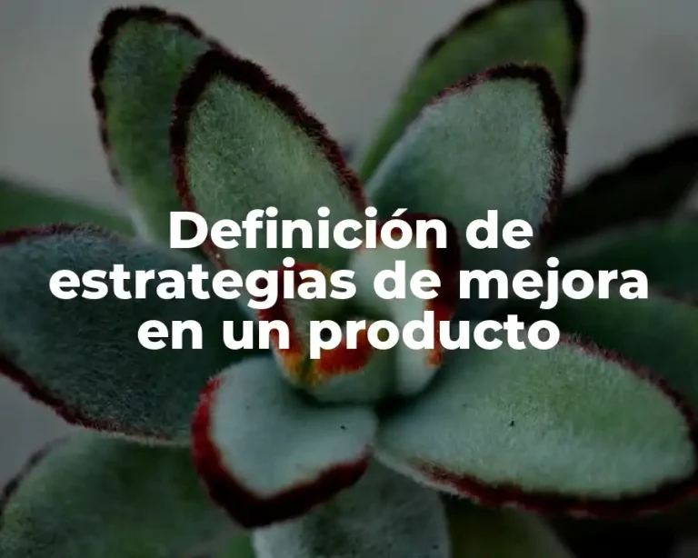 Definición de estrategias de mejora en un producto