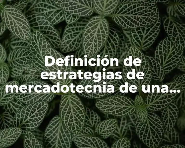 Definición de estrategias de mercadotecnia de una empresa de limpieza