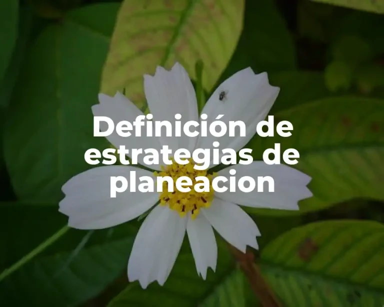 Definición de estrategias de planeacion