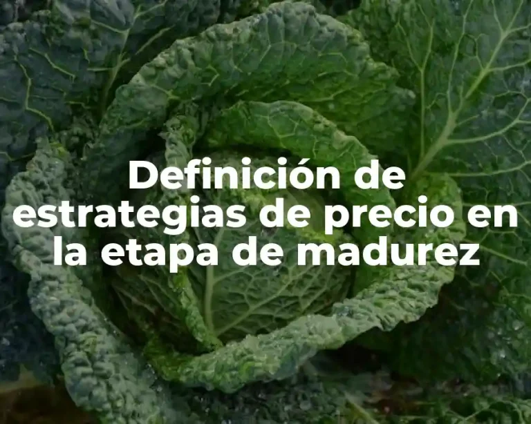Definición de estrategias de precio en la etapa de madurez