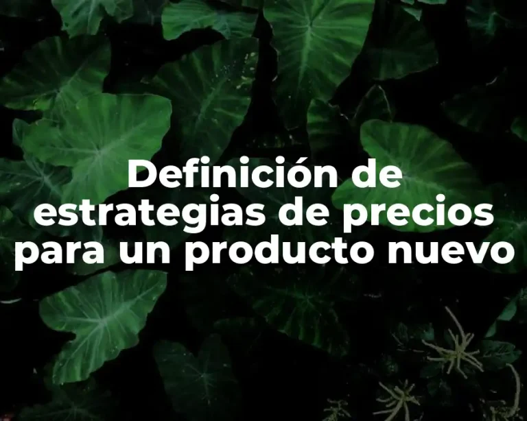 Definición de estrategias de precios para un producto nuevo