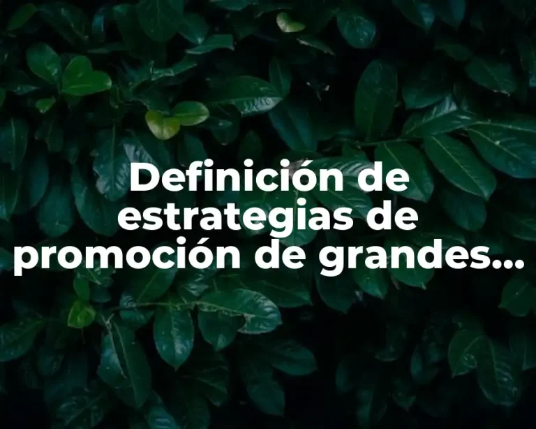 Definición de estrategias de promoción de grandes empresas