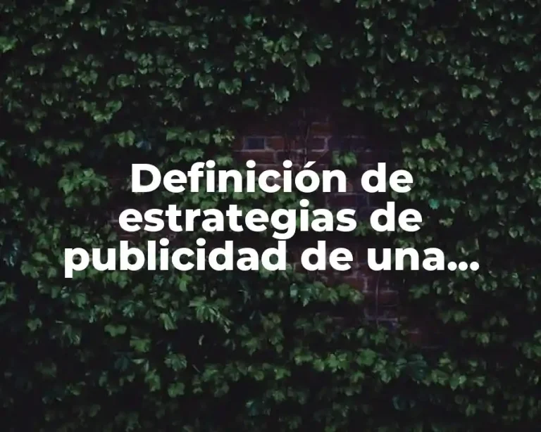 Definición de estrategias de publicidad de una empresa