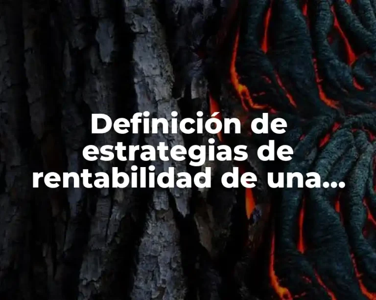 Definición de estrategias de rentabilidad de una empresa