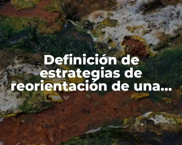 Definición de estrategias de reorientación de una empresa