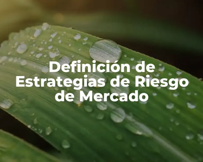 Definición de Estrategias de Riesgo de Mercado