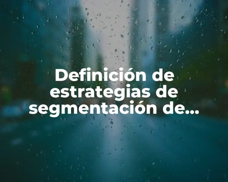 Definición de estrategias de segmentación de productos o servicios