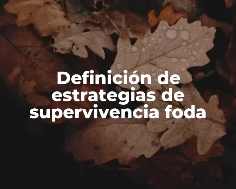Definición de estrategias de supervivencia foda