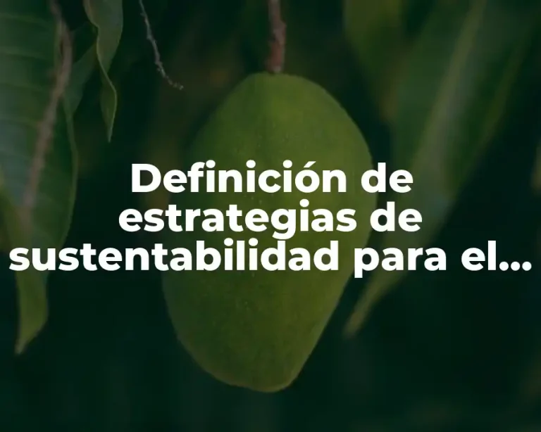 Definición de estrategias de sustentabilidad para el escenario sociocultural