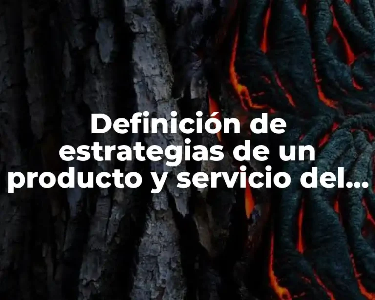 Definición de estrategias de un producto y servicio del extranjero