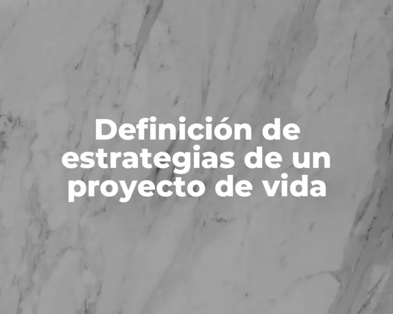 Definición de estrategias de un proyecto de vida