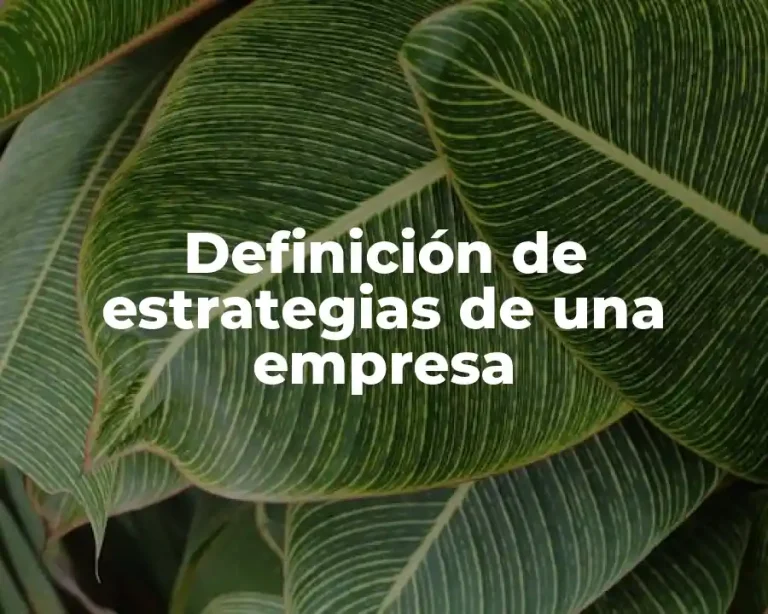 Definición de estrategias de una empresa