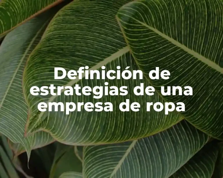 Definición de estrategias de una empresa de ropa