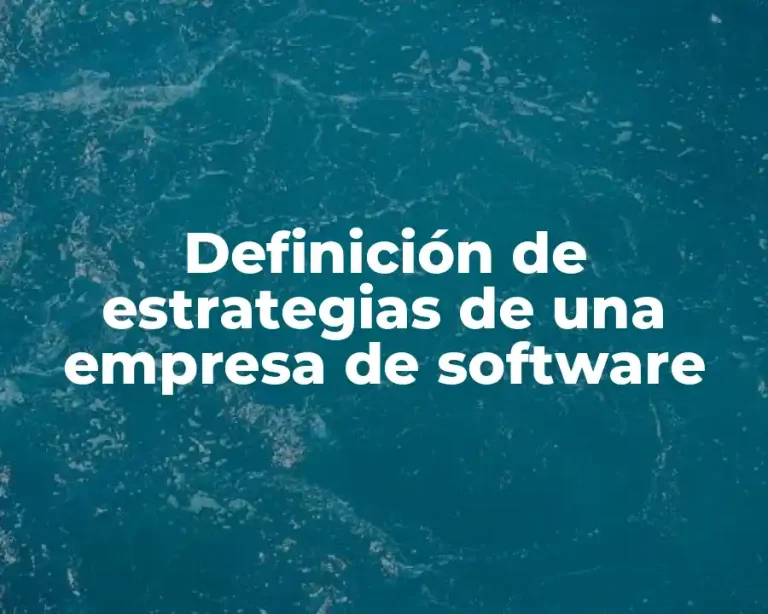 Definición de estrategias de una empresa de software