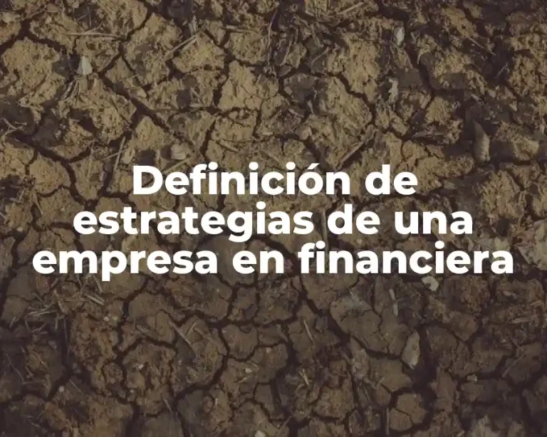 Definición de estrategias de una empresa en financiera