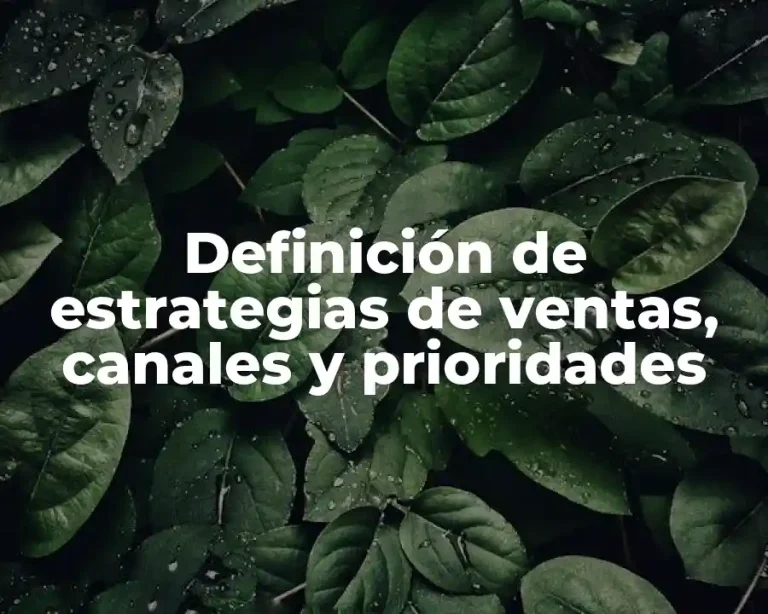 Definición de estrategias de ventas, canales y prioridades