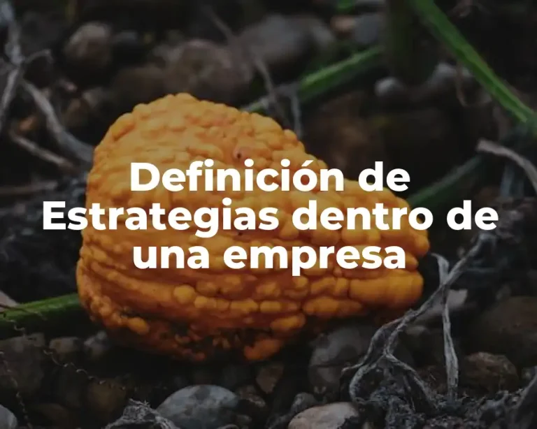 Definición de Estrategias dentro de una empresa
