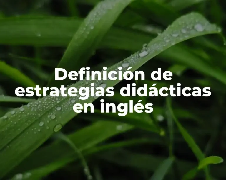 Definición de estrategias didácticas en inglés