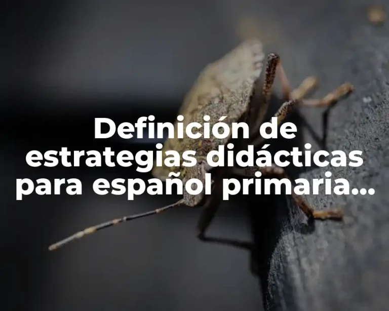Definición de estrategias didácticas para español primaria con aprendizajes clave