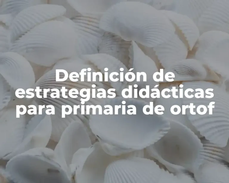 Definición de estrategias didácticas para primaria de ortof