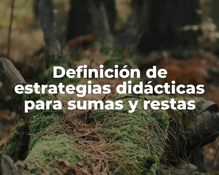 Definición de estrategias didácticas para sumas y restas