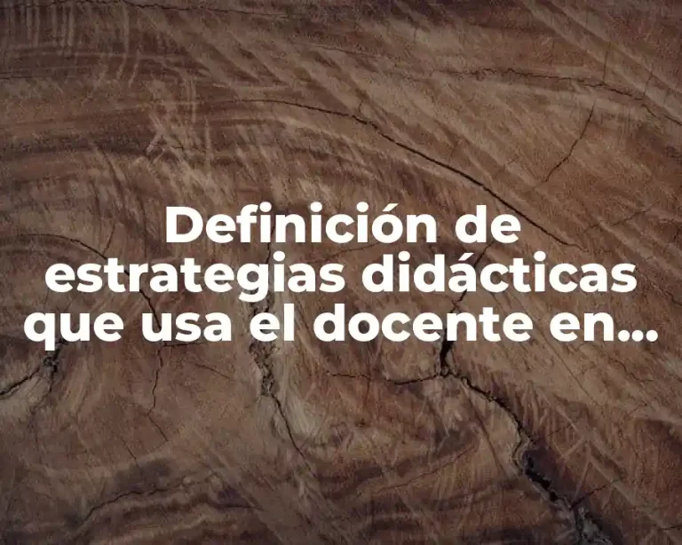 Definición de estrategias didácticas que usa el docente en secundaria