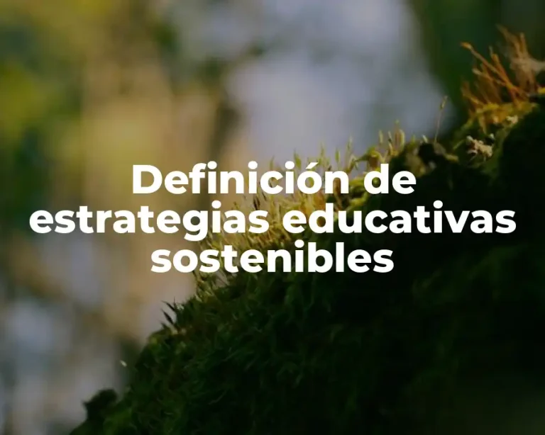 Definición de estrategias educativas sostenibles