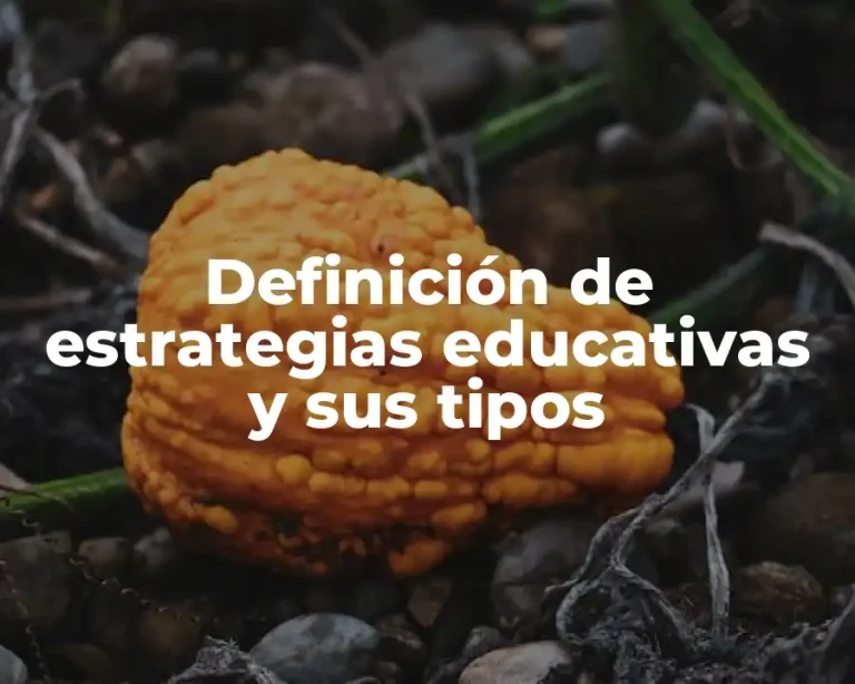 Definición de estrategias educativas y sus tipos
