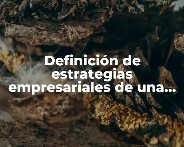 Definición de estrategias empresariales de una empresa