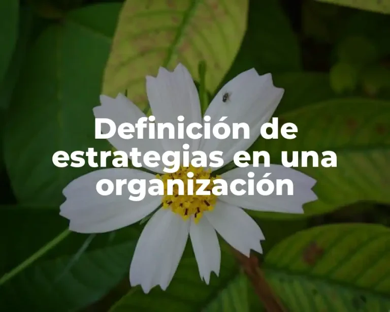 Definición de estrategias en una organización
