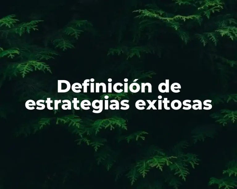 Definición de estrategias exitosas