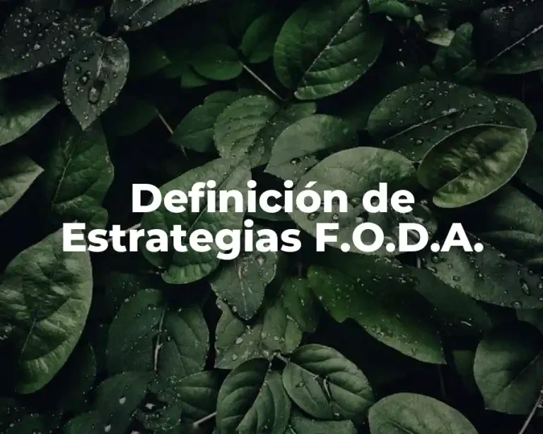 Definición de Estrategias F.O.D.A.