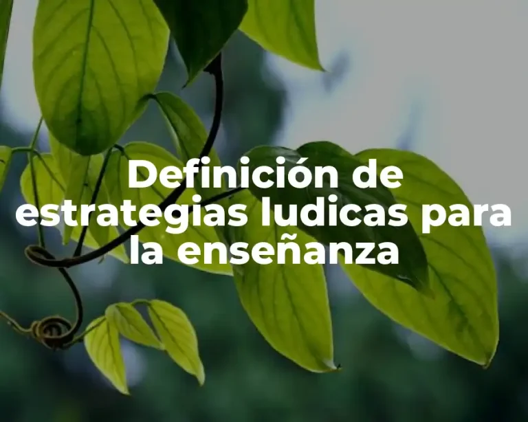 Definición de estrategias ludicas para la enseñanza
