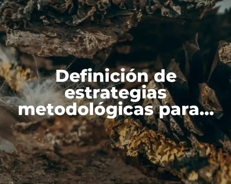 Definición de estrategias metodológicas para proyectos de investigación