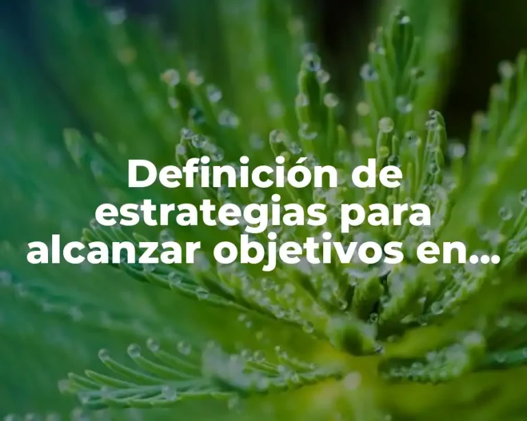 Definición de estrategias para alcanzar objetivos en una empresa