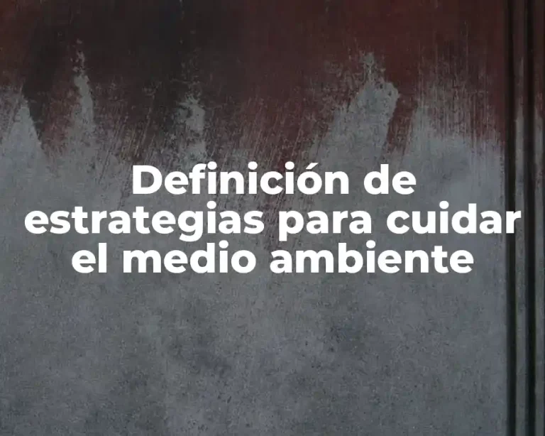 Definición de estrategias para cuidar el medio ambiente