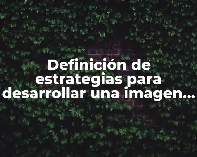 Definición de estrategias para desarrollar una imagen corporativa