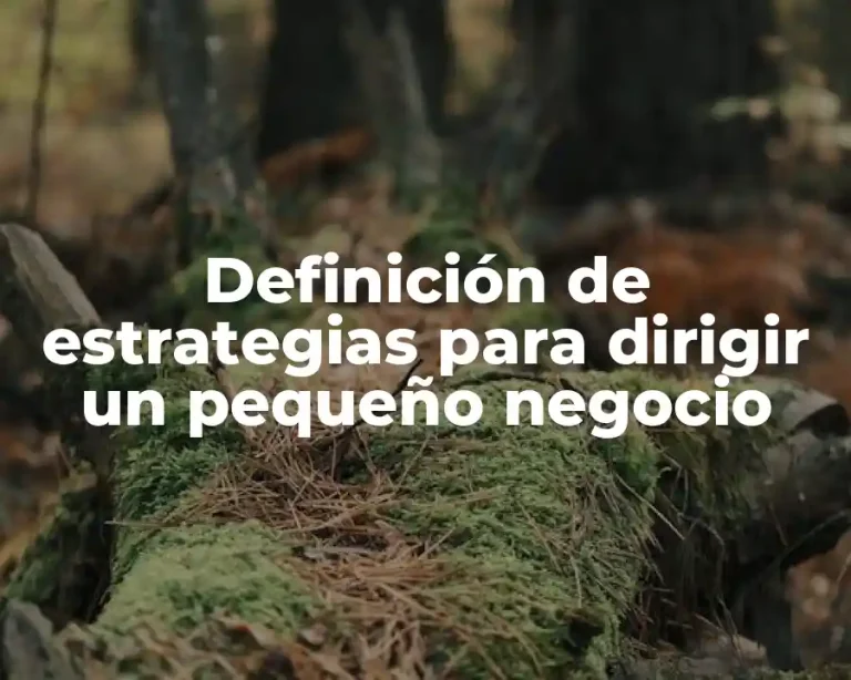 Definición de estrategias para dirigir un pequeño negocio