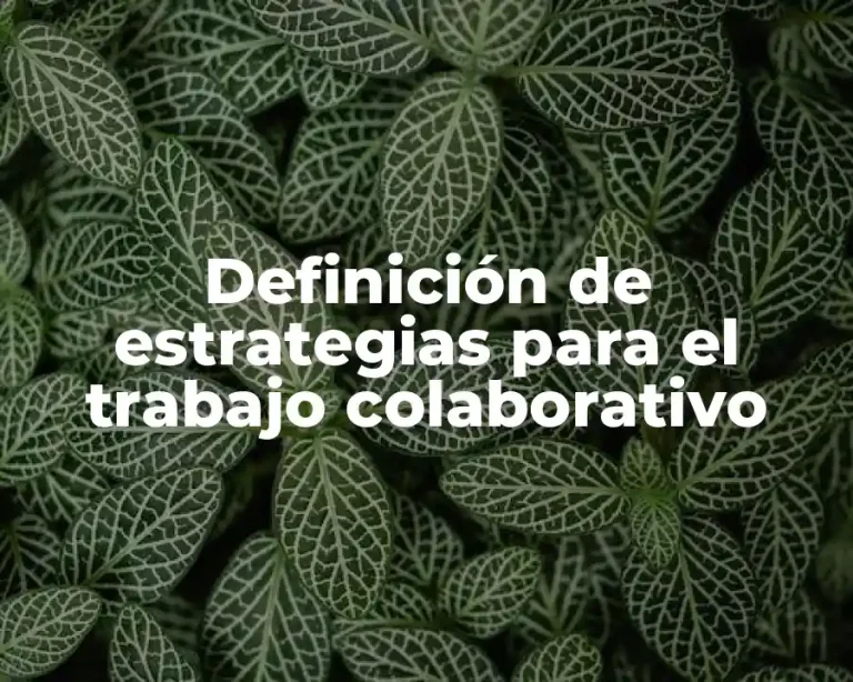 Definición de estrategias para el trabajo colaborativo