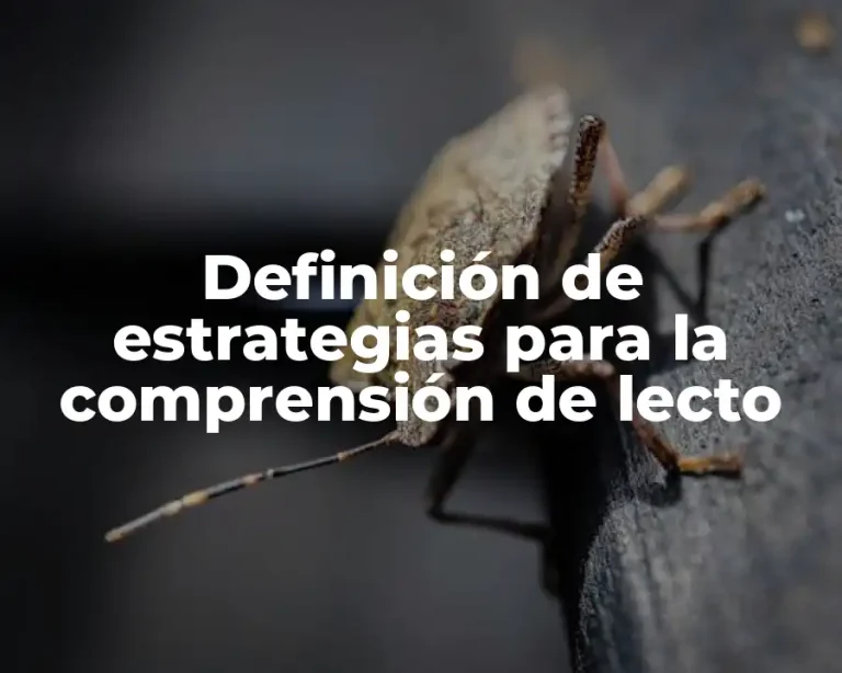 Definición de estrategias para la comprensión de lecto