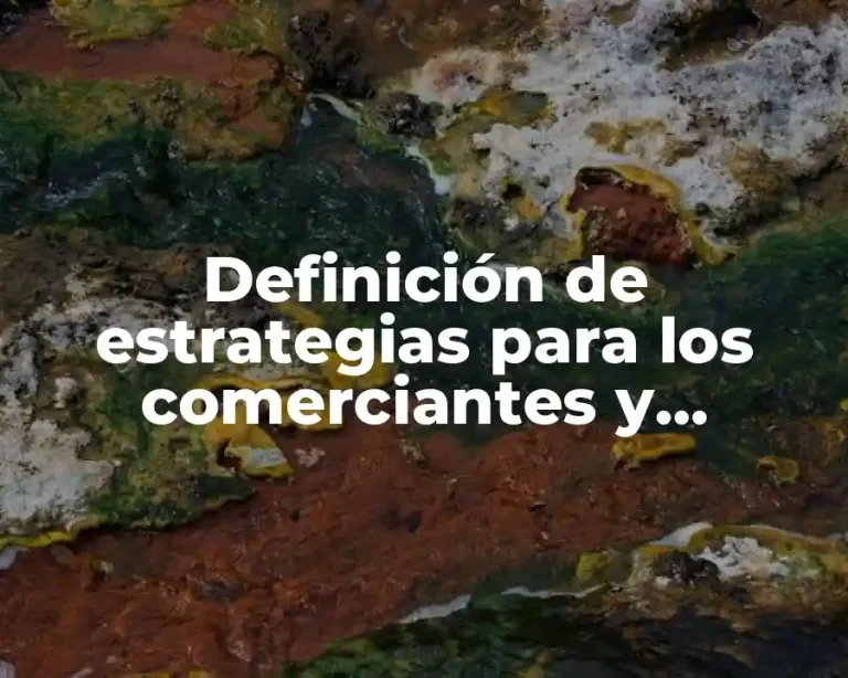Definición de estrategias para los comerciantes y distribuidores