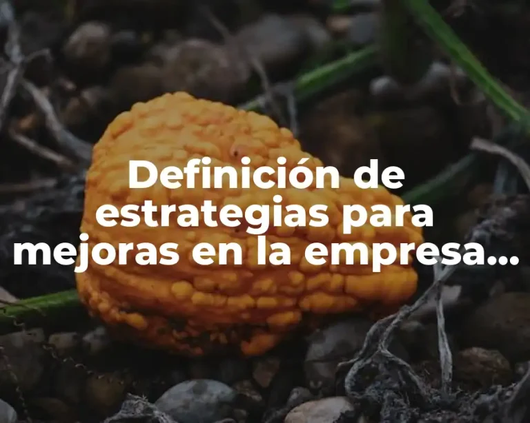 Definición de estrategias para mejoras en la empresa Telmex