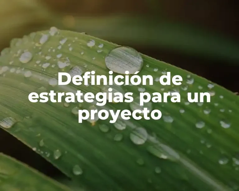 Definición de estrategias para un proyecto