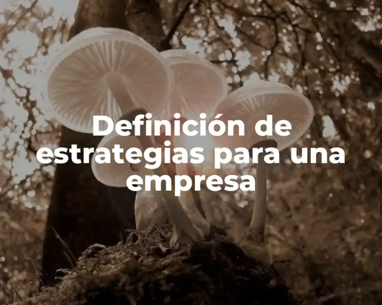 Definición de estrategias para una empresa