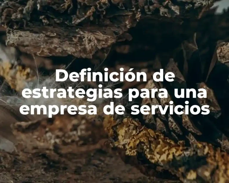 Definición de estrategias para una empresa de servicios