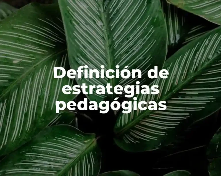 Definición de estrategias pedagógicas